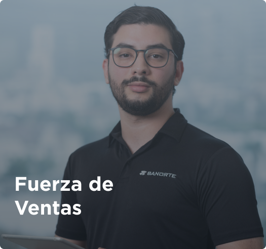 Fuerza de Ventas